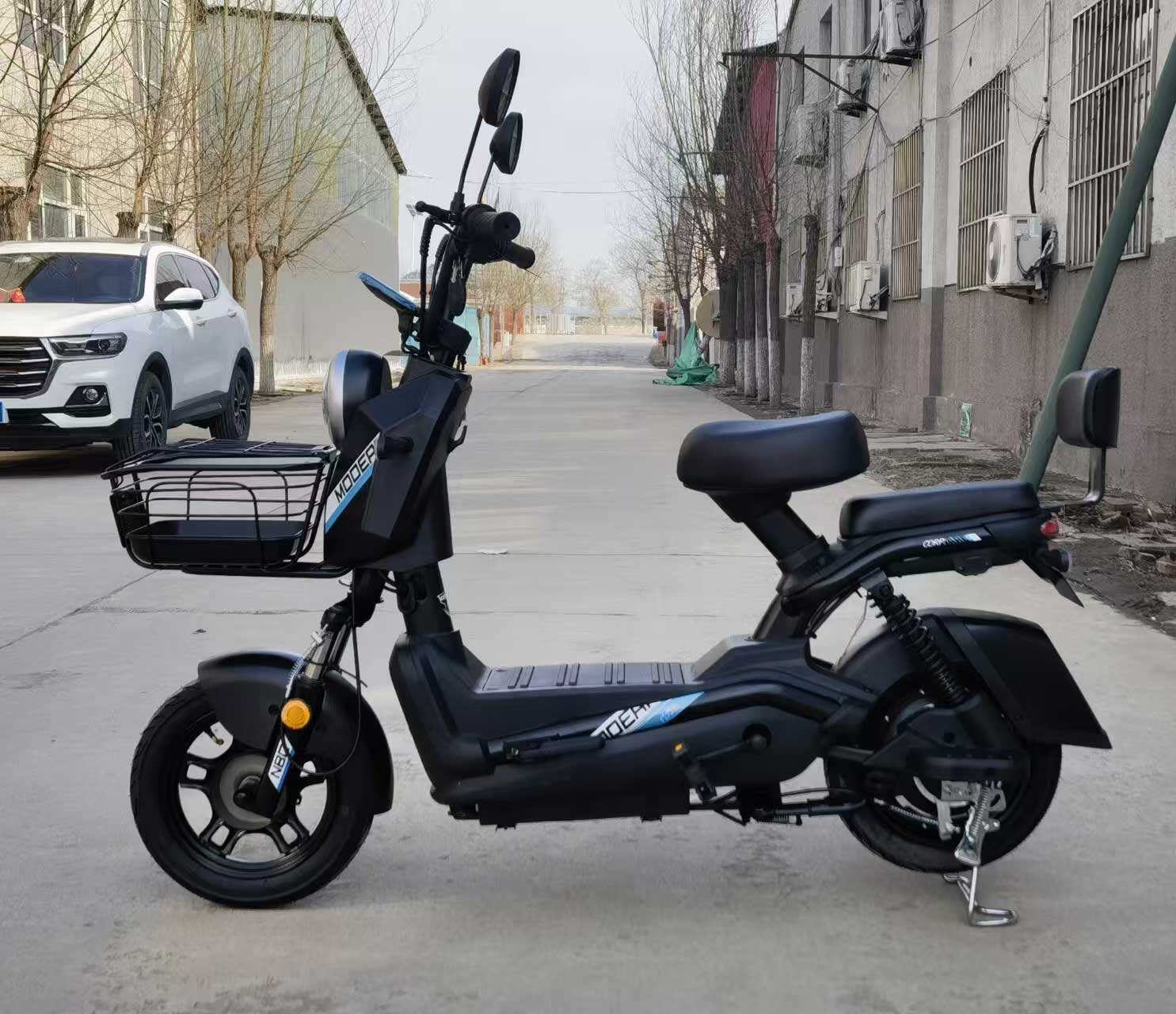 電気自転車スクーター 350W 電気スクーター カスタムカラー